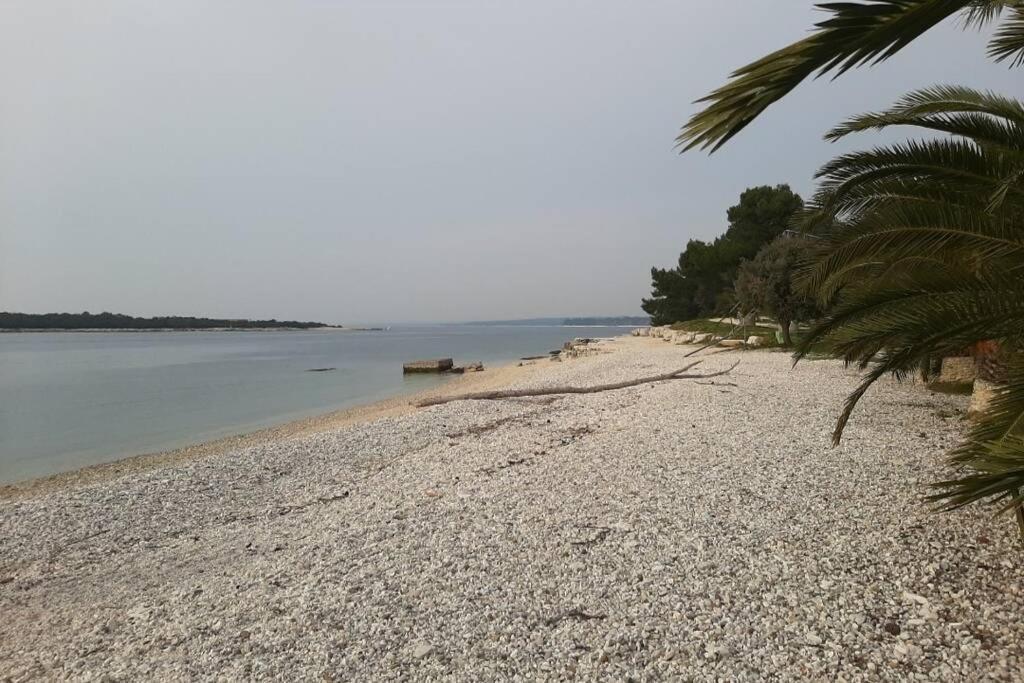 Apartman Near Fazana-500 From The Sea エクステリア 写真