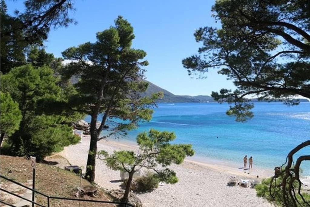 Apartman Near Fazana-500 From The Sea エクステリア 写真